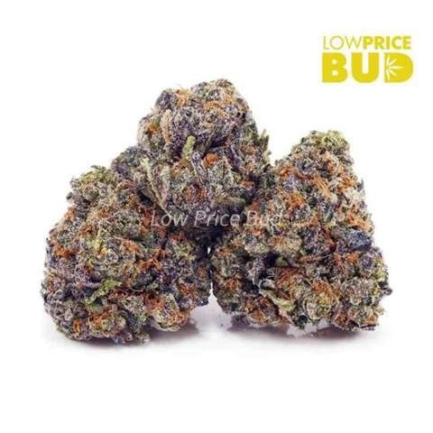 Purple Kush (AAAA)