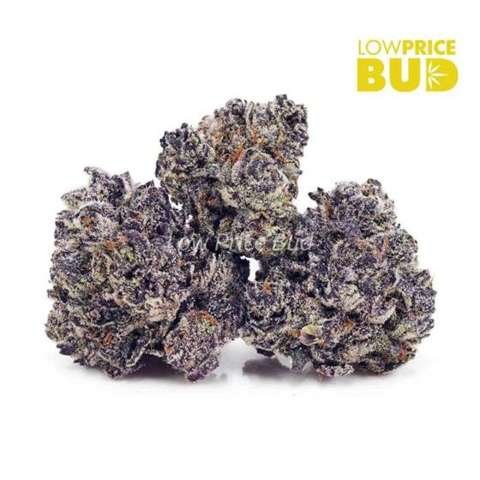 Purple Freeze (AAAA)