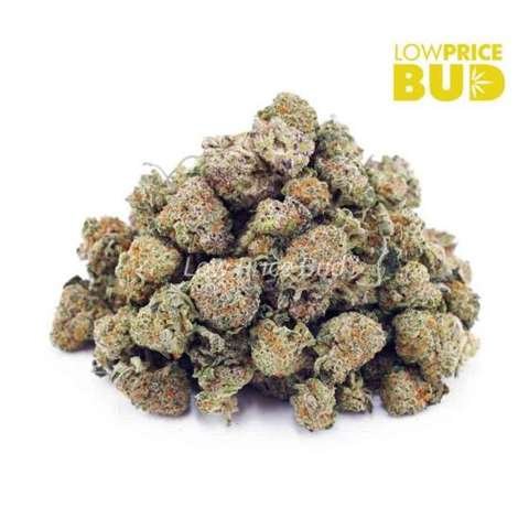 Hells Angel OG (AAAA) – Popcorn Nugs