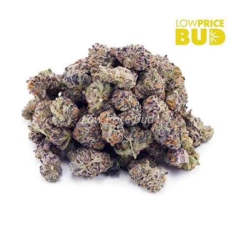 Purple Candy (AAAA) – Popcorn Nugs
