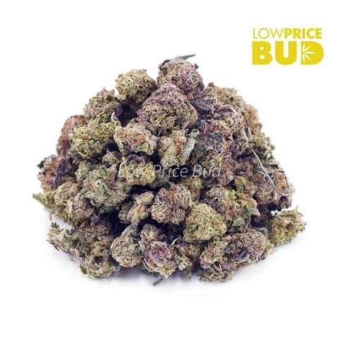 Fruit Loopz (AAAA) – Popcorn Nugs