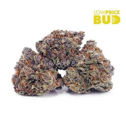 Maui Mist (AAA)