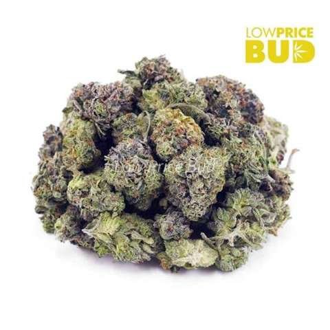 God’s Green Crack (AAAA) – Popcorn Nugs