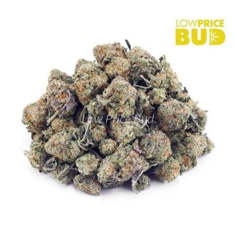 Jungle Mintz (AAAA) – Popcorn Nugs