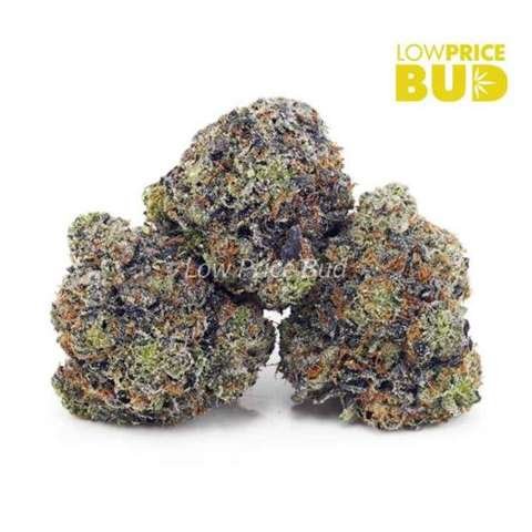 OG Octane (Craft Cannabis)