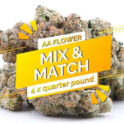 Build Your Own (AA) Pound 4 x 112g
