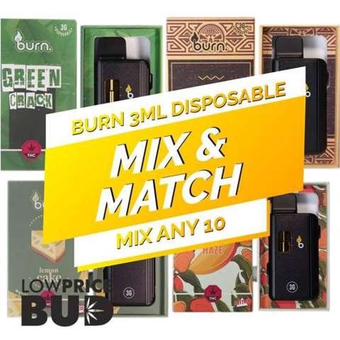 Burn Extracts Disposable 3ML – Mix and Match 10