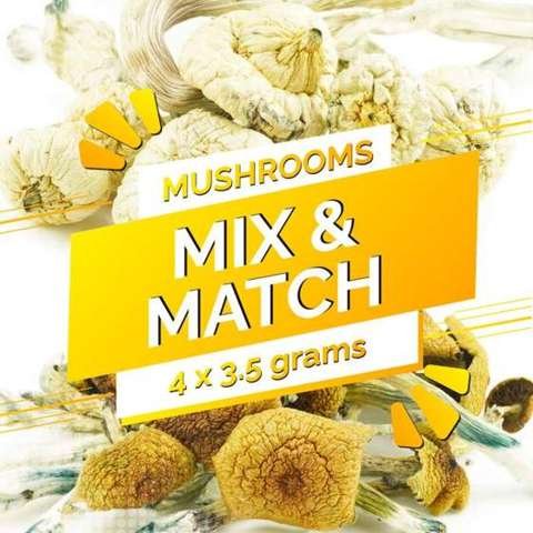 Build Your Own Mushrooms Half Oz