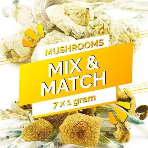 Build Your Own Mushrooms 7g