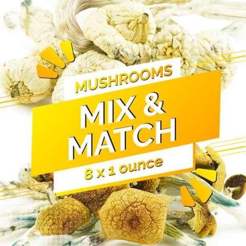 Build Your Own Mushrooms Half Pound